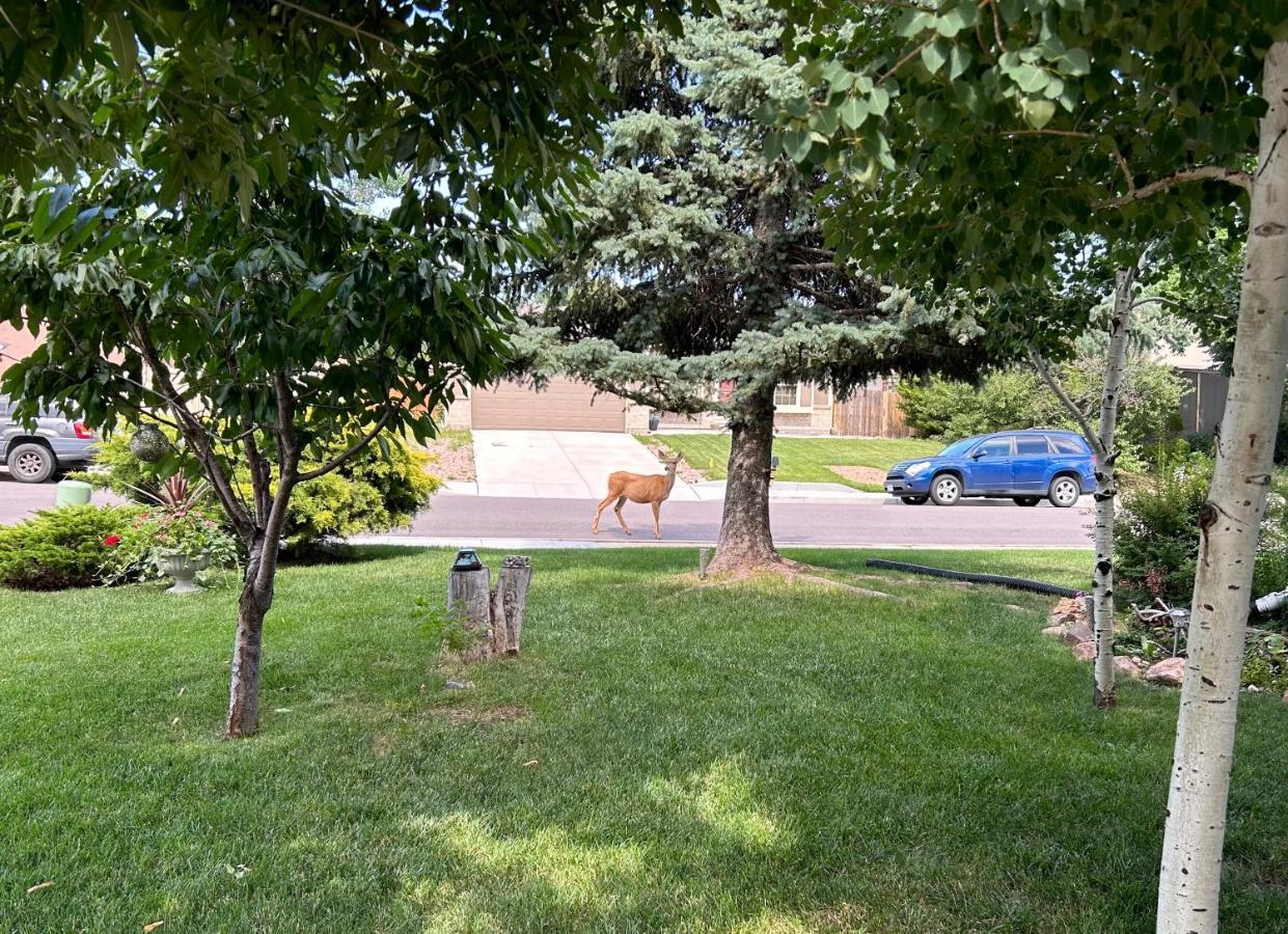 A Colorado Room With A View - King Colorado Springs Exterior foto